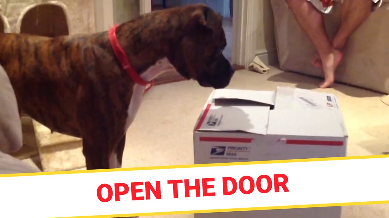 Open the door