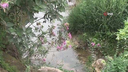 Savaşta babasını kaybeden çocuk su birikintisinde boğuldu