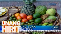Unang Hirit: Panalong suka alternatives, alamin!