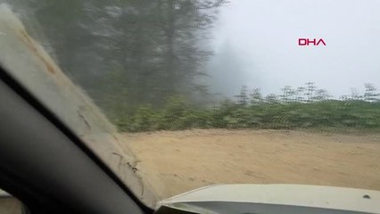 RİZE BULUTLARIN ÜZERİNDEKİ YAYLAYA TATİLCİ AKINI