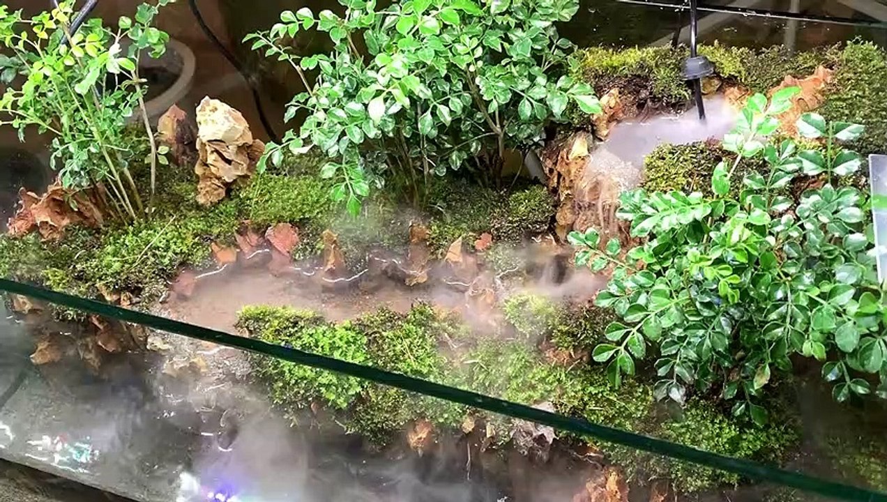 Making a forest with a waterfall