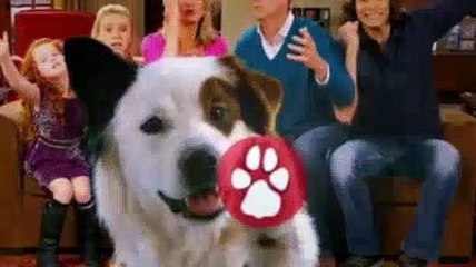 Dog With A Blog S02E11 - Stan Runs Away