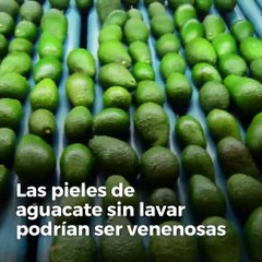 La piel del aguacate puede ser venenosa