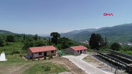 ZONGULDAK 8 KÖYLÜ KADIN BİR ARAYA GELİP KURDUĞU KOOPERATİFİN ÜNÜ İLÇEYİ AŞTI