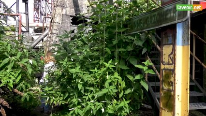 L'Avenir - Joëlle urbex 3 b - Cokerie