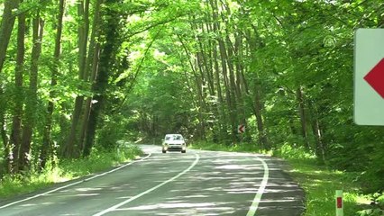 Safranbolu'nun ağaç tünelli yolları görenleri büyülüyor