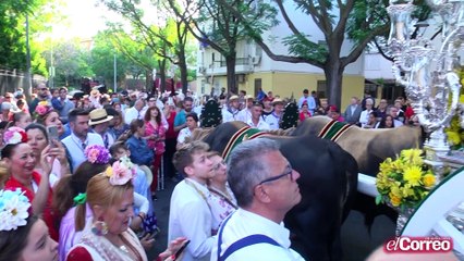 Salidad Hdad. del Rocío de Sevilla Sur