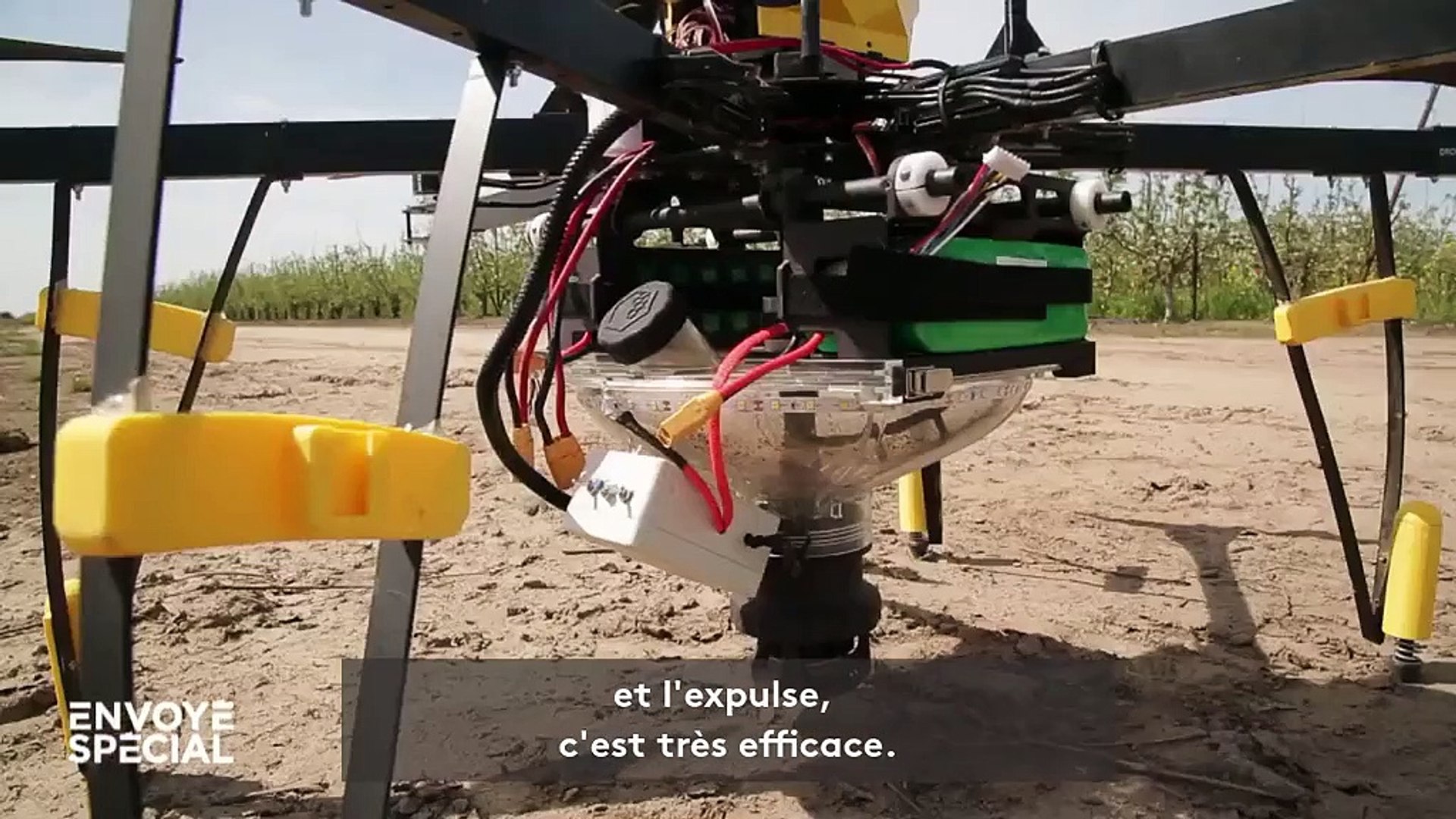 Des drones pollinisateurs pour remplacer les abeilles - Vidéo Dailymotion