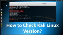 How to Check Kali Linux Version?