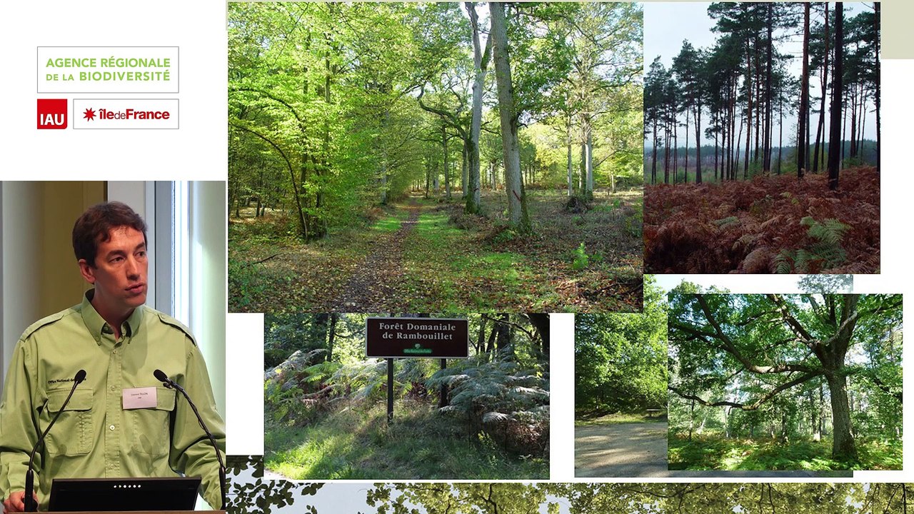 4 - Laurent TILLON - Rencontre technique "Continuités écologiques et forêts" 2019