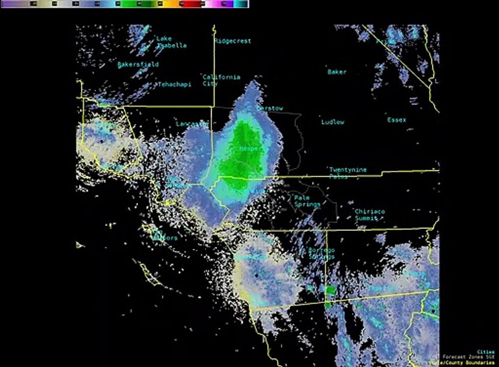Un nuage de coccinelles survole le ciel de Sans Diego, en Californie