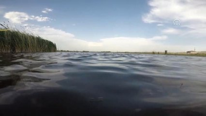 Gönüllüler Ağrı Dağı Milli Parkı'nı temizledi