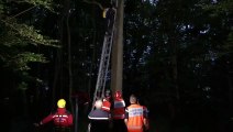 Woustviller : sauvetage par le Grimp du pilote du paramoteur coincé dans un arbre