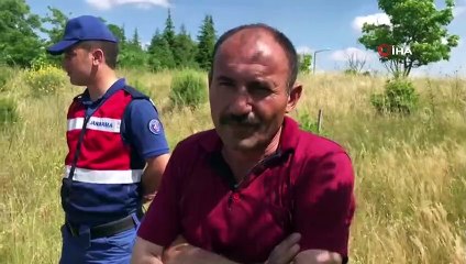 5 kişinin hayatını kaybettiği kazada tır sürücüsü tutuklandı