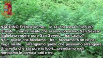 NUMEROSI ARRESTI IN TUTTA ITALIA. OLTRE 200 AGENTI DI POLIZIA DI STATO IMPEGNATI NEL BLITZ