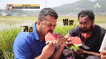 일한 뒤 먹는 시원-한 수박! 상린 씨와 직원들의 달콤한 휴식 시간♥