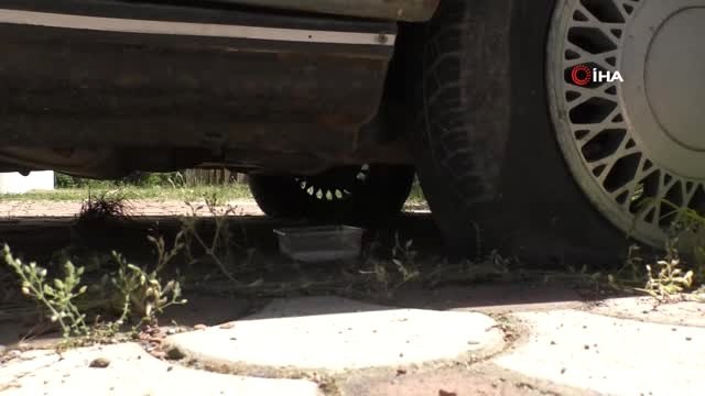İtfaiye ekiplerinden yavru kedi kurtarma operasyonu