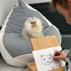 Le ressemblance entre le chien et la peinture est à mourir de rire. Regardez !