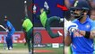 ICC Cricket World Cup 2019 : Quinton de Kock Takes A Stunning Catch To Dismiss Virat Kohli