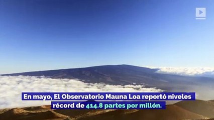 Los niveles actuales de CO2 del planeta son los más altos en millones de años