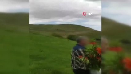 60 bin TL cezası olan laleleri koparıp götürdüler