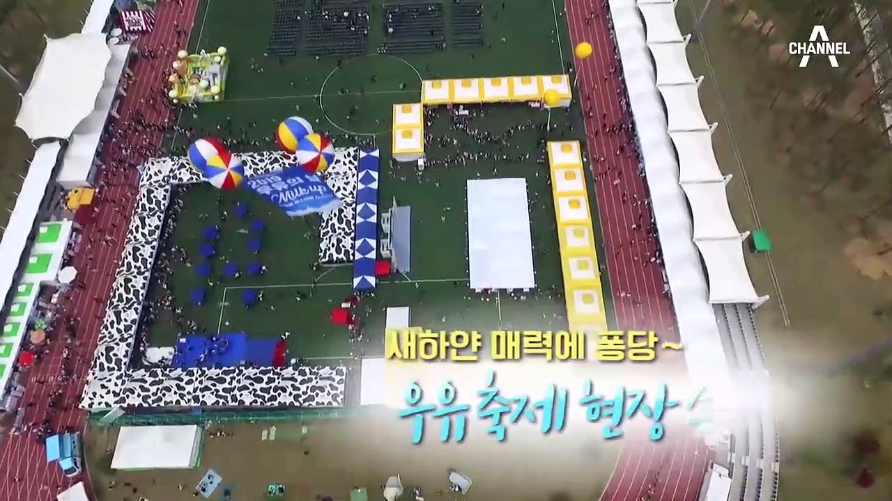 새하얀 매력에 퐁당~  우유 축제 현장 속으로~