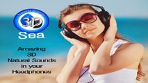 3D Nature Sounds - Sea Sounds for Meditation, Sleep, Relaxation, Study & SPA