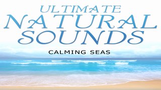 Beautiful Nature Sound: Calming Sea