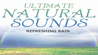 Beautiful Nature Sound: Refreshing Rain for Sleep, Study, Natural White Noise