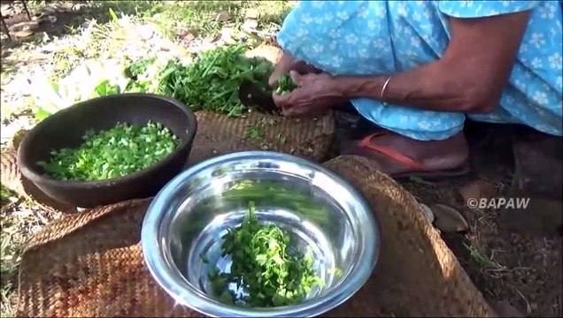 Sain Village Aliments Cuisine Radis Curry dans mon Village par la grand-mère