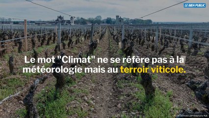 Le Mois des Climats en Côte-d'Or