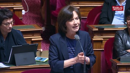 PJL Santé : Il serait bien d’inscrire dans la loi l’inclusion des centres de planification et d’accès à l’IVG aux hôpitaux de proximité, selon Laurence Rosssignol