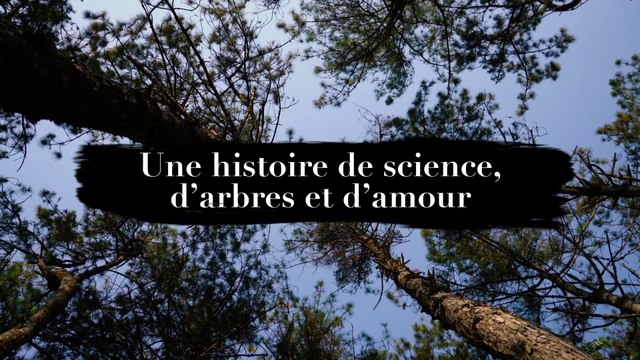 Lab Girl : une histoire de science, d'arbres et d'amour