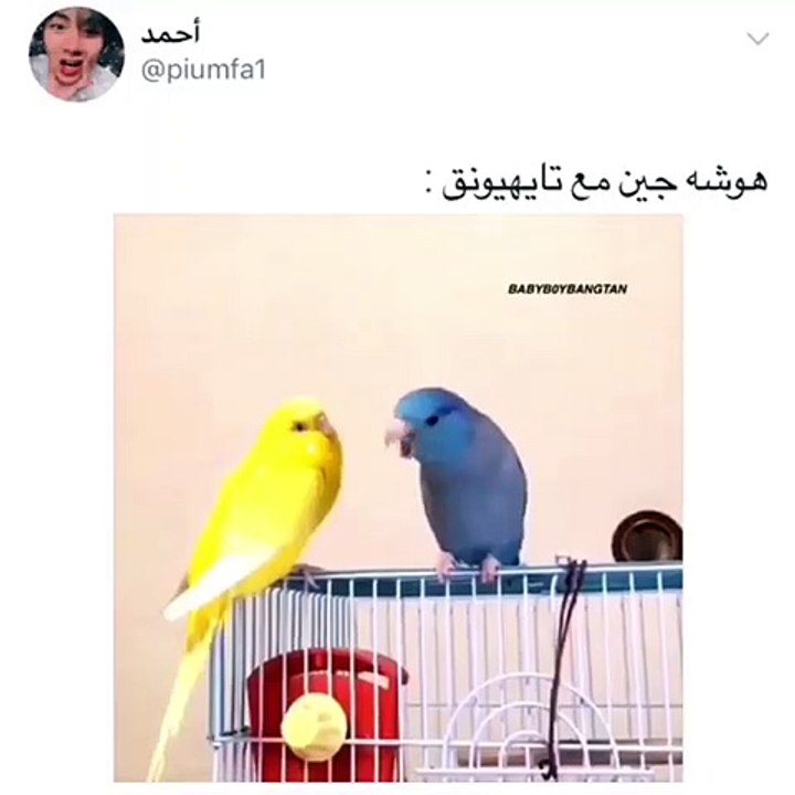 Jin gets angry
