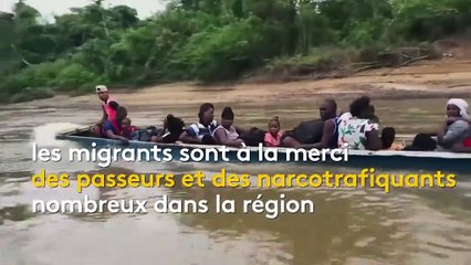 Migrants : une odyssée de tous les dangers dans la jungle du Panama
