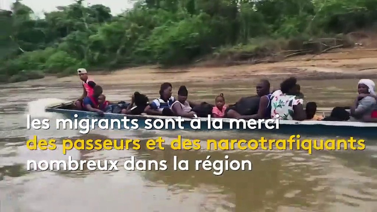 Migrants : une odyssée de tous les dangers dans la jungle du Panama