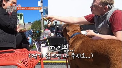 햄버거를 먹지 못해 슬픈 멍멍이의 치명적인 뒷태