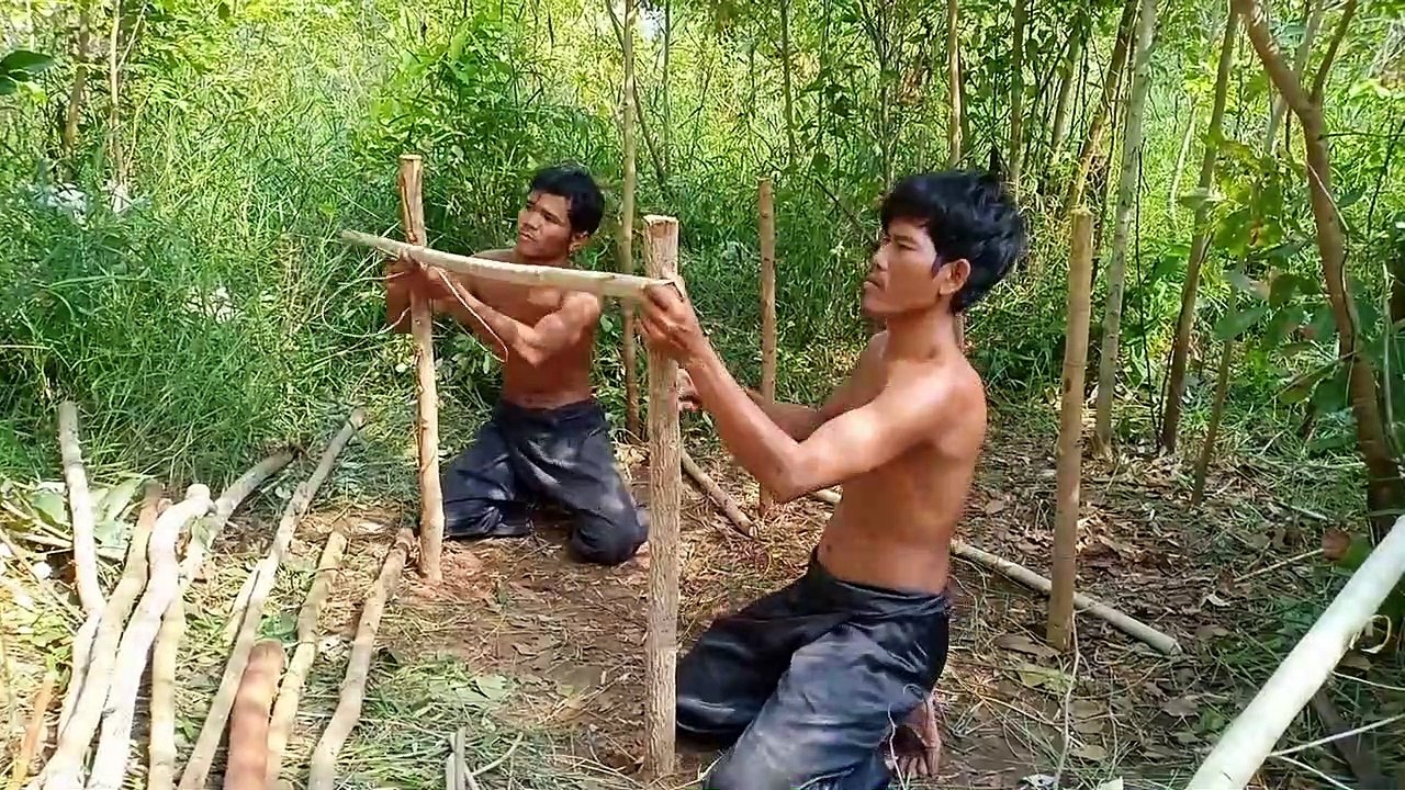 Help Wild Puppies from deep hole & Build house​ for Wild Puppies