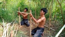 Help Wild Puppies from deep hole & Build house​ for Wild Puppies