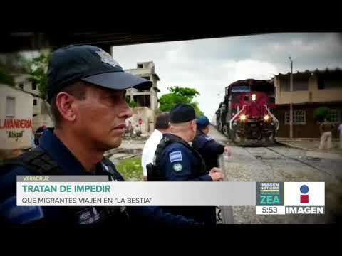 Policías mexicanos tratan de impedir que migrantes viajen en La Bestia | Noticias con Paco Zea