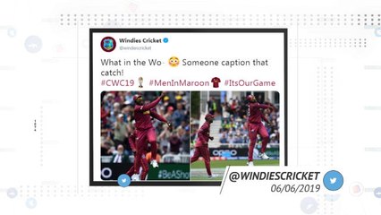 Socialeyesed - Cottrell takes spectacular boundary catch against Australia