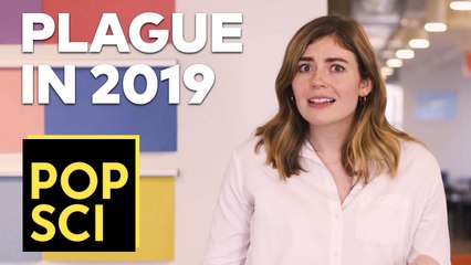 You Can Still Get The Plague?