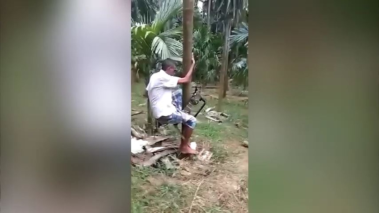 Il a construit une machine géniale pour monter dans les arbres !