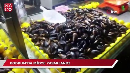 Bodrum’da 50 tatilci zehirlendi