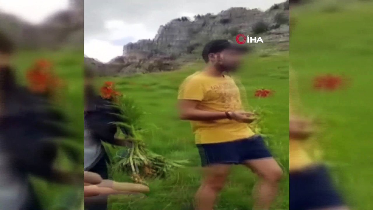 Ters laleleri koparıp  götüren 3 kişiye 180 bin TL para cezası kesildi