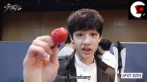 [SPOT_KIDS] For the strawberries, the chase of herbivores! The result of Kangaroo Chan vs Squirrel Han is?!