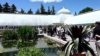 Arte viva de Burle Marx