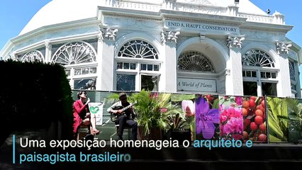 Arte viva de Burle Marx