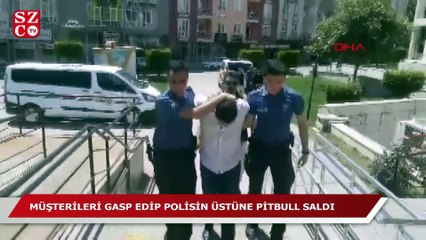 Polislerin üstüne pitbull salan işletmeci tutuklandı!