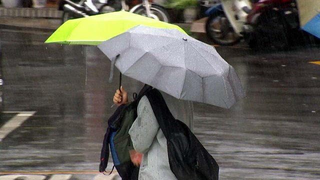 [날씨] 전국 비...동해안 호우주의보, 120mm↑ / YTN